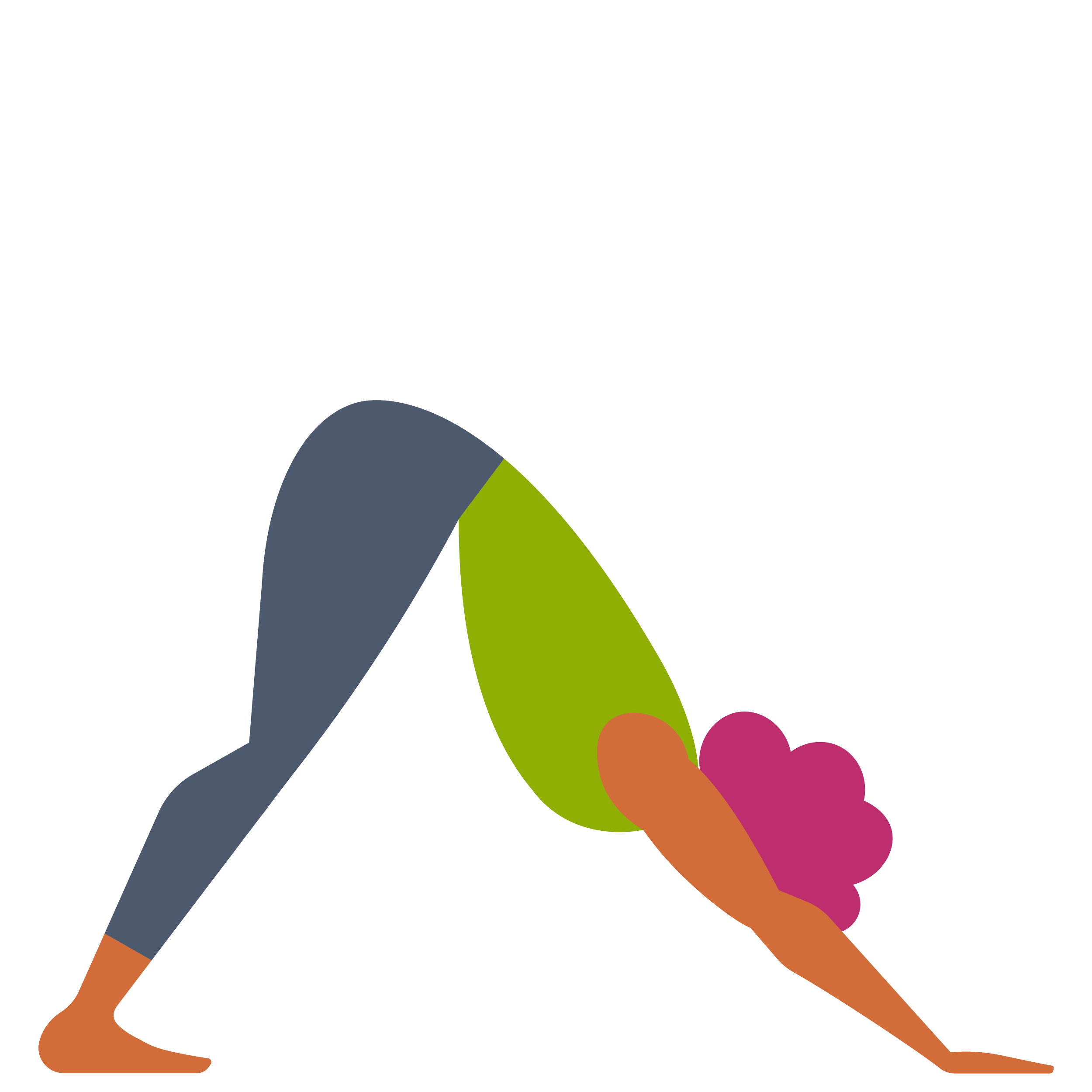 Sun Salutation A downward facing dog