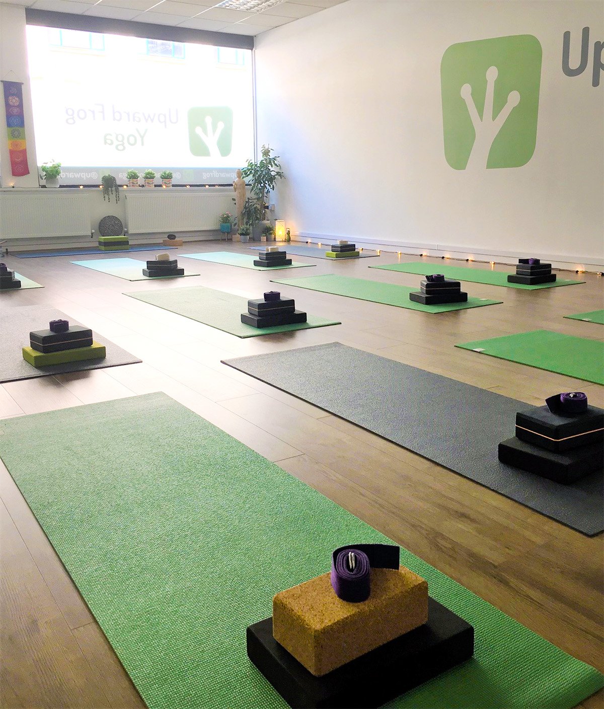 Yoga studio with mats, blocks, and straps prepared for class, with natural light and indoor plants.