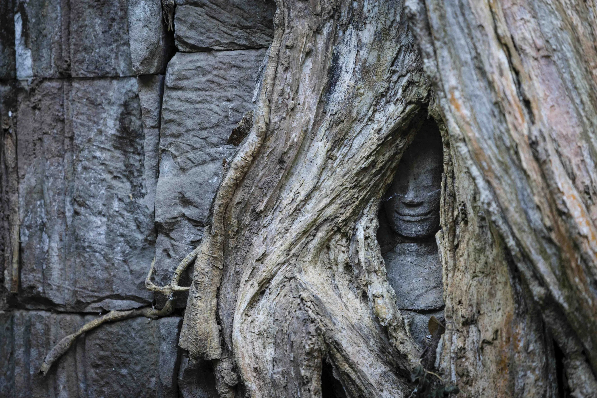 Close-up of a tree trunk with a small carved face in the hollow part of the bark alongside stone bricks.