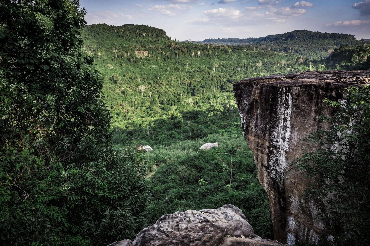 Lush green forest with a large rock formation on the right side, overlooking a deep valley with dense trees and hills in the background.