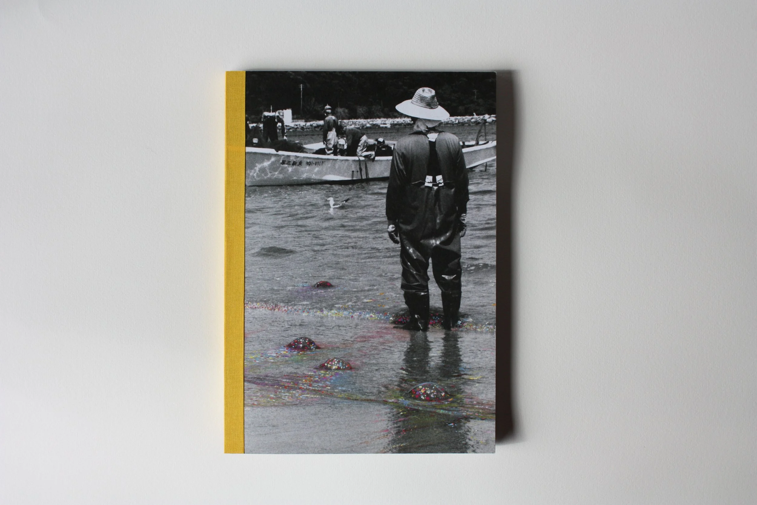 The Pigment Pictures