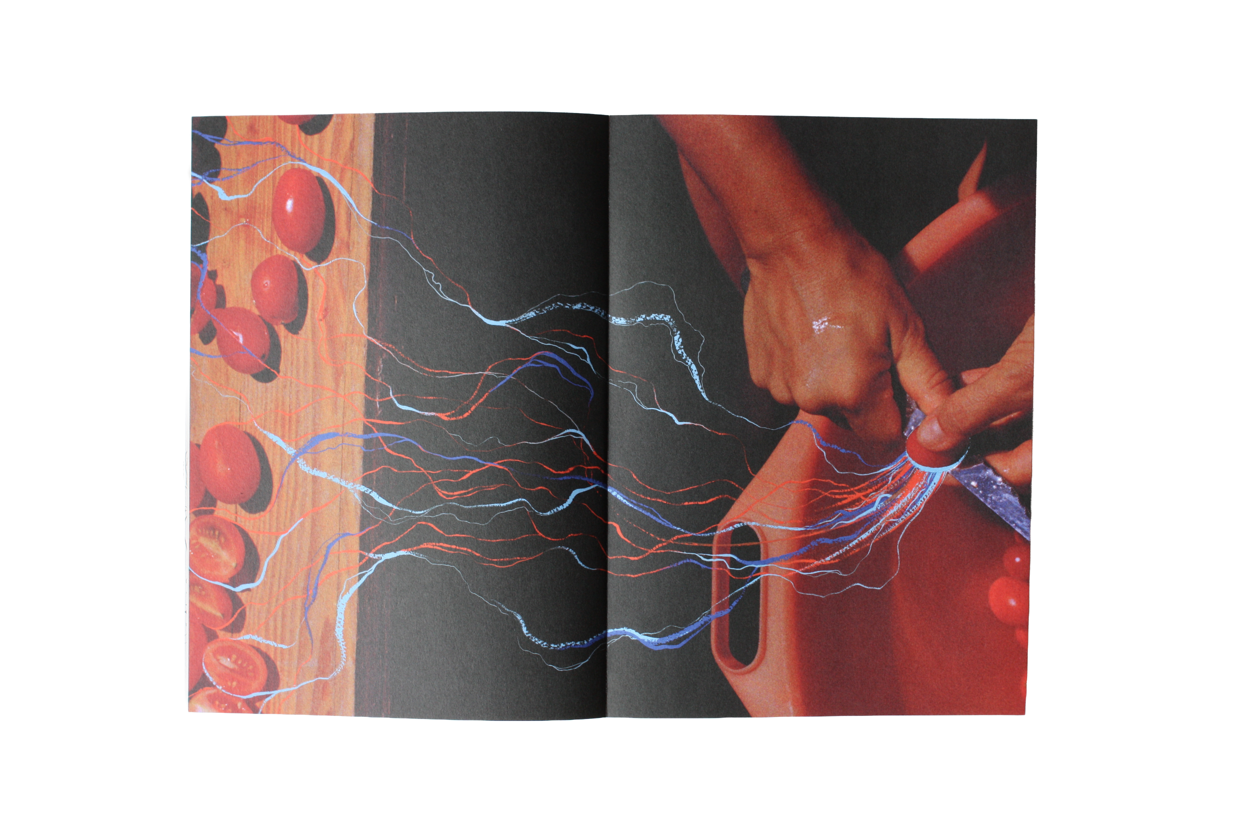 Workshop: The Pigment Pictures Process