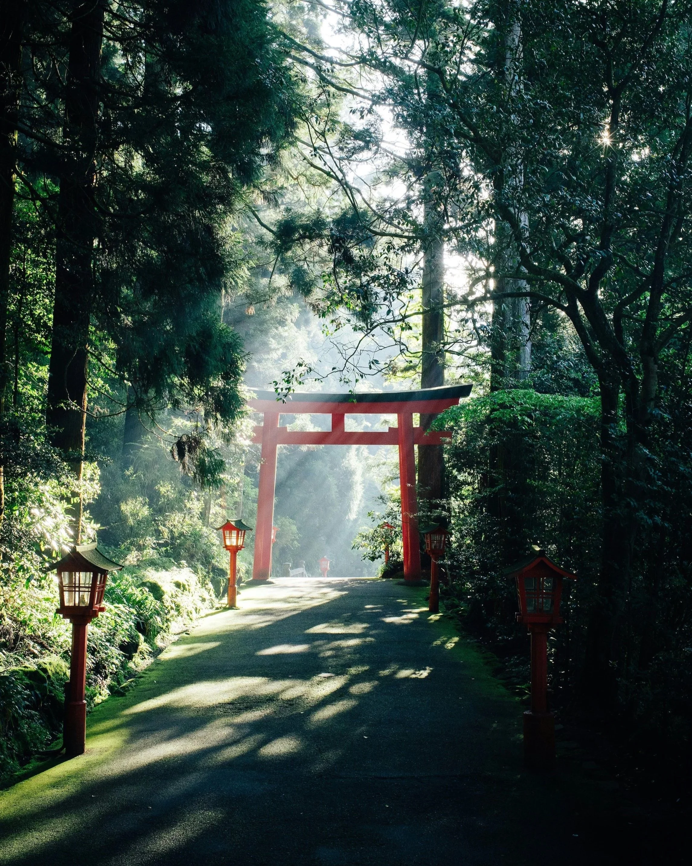 Red Tori gate in the forest of Japan