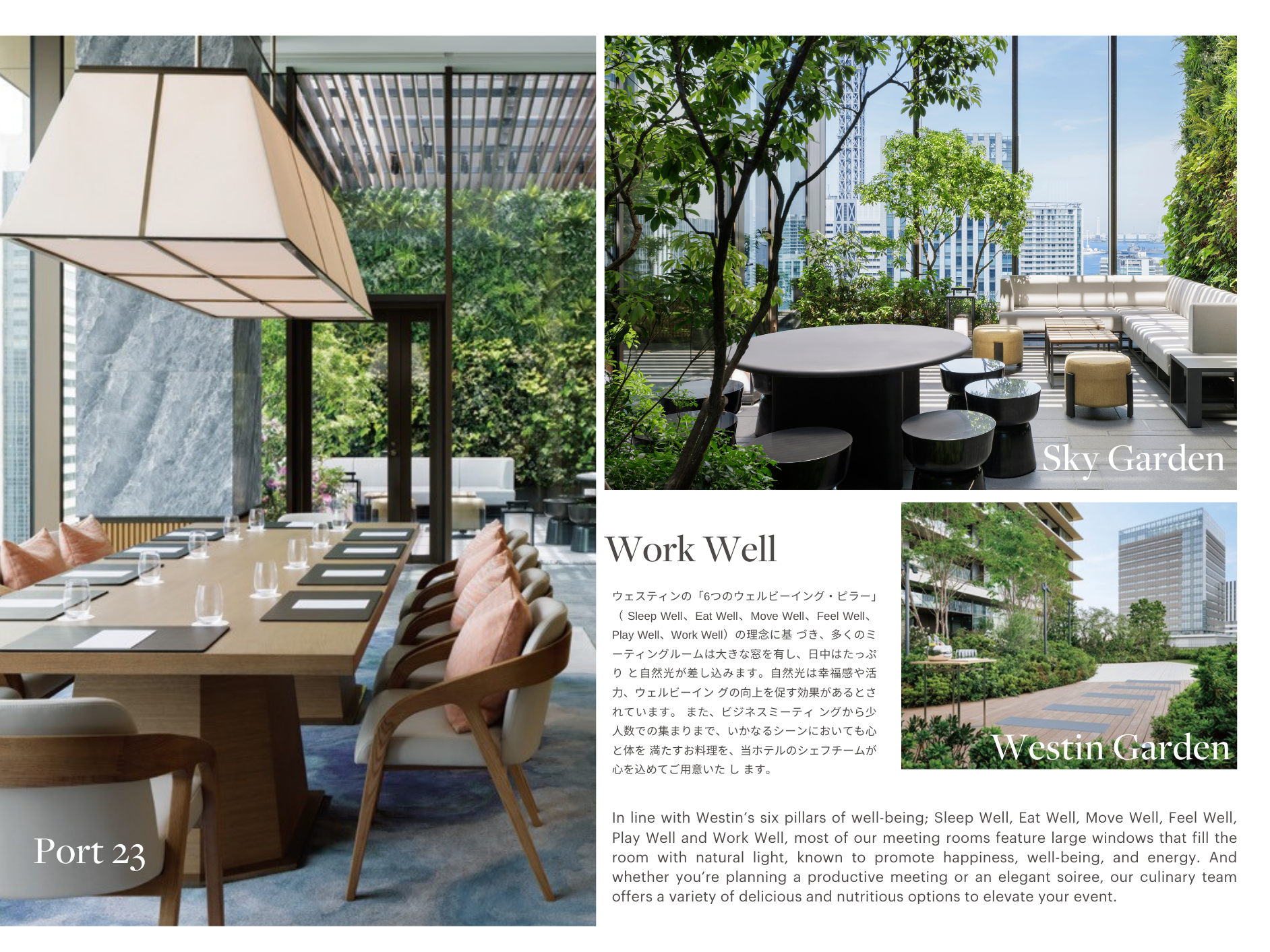 A collage of four images showcasing luxurious hotel meeting spaces and outdoor gardens. The top left features a stylish dining area with a long table, pink cushions, and large window with greenery outside. The top right shows a rooftop lounge with trees, round tables, and city skyline view. The bottom right displays an outdoor garden with pathways, trees, and modern buildings. The bottom left contains a paragraph about wellness themes, the Westin Hotel, and its meeting rooms.