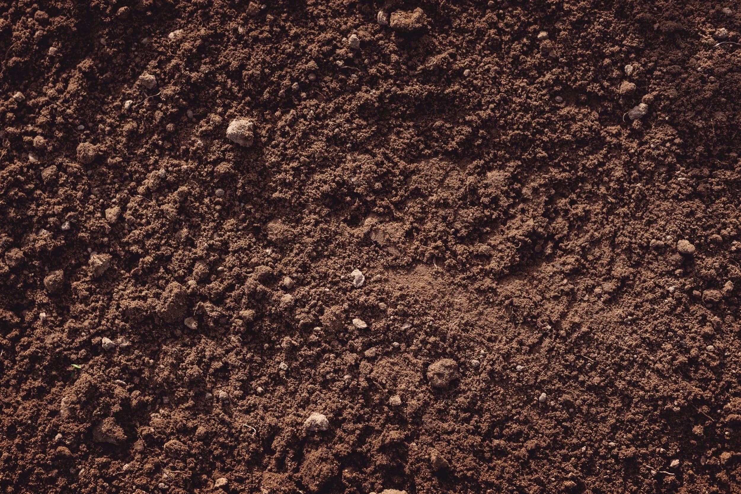Topsoil-twice-screened.jpg