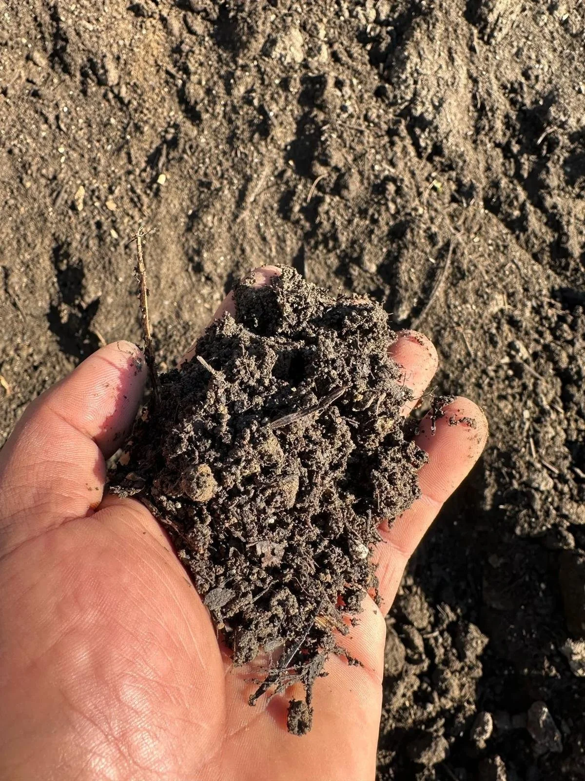 Compost+Topsoil+mix.jpeg_under500kb.jpg