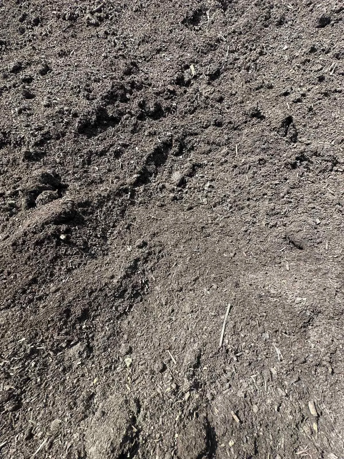 pas100 compost peat free.jpg