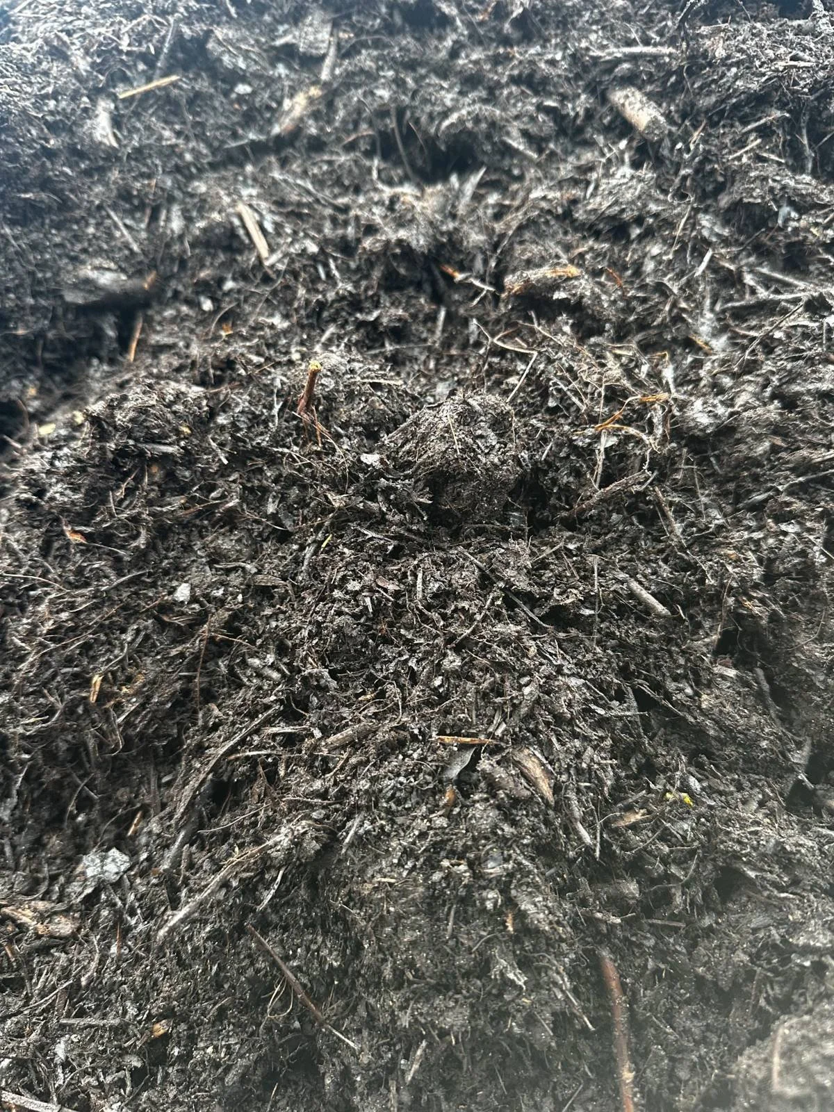 Compost-pas100.jpeg_under500kb.jpg