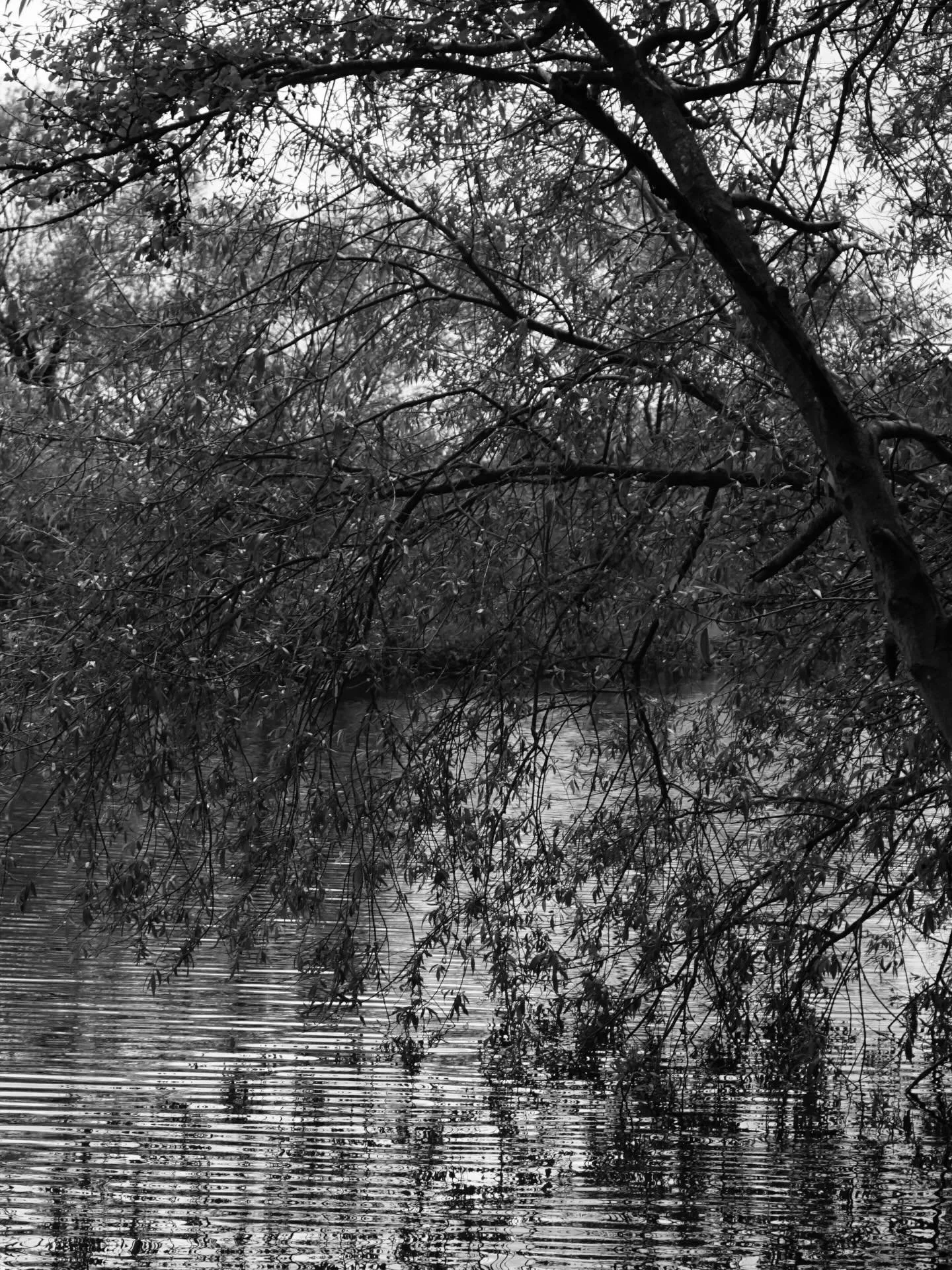040426 &bull; Taken on Sony