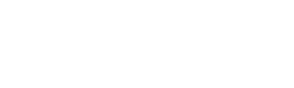 Queenie Visuals • Fine Art Photographer 