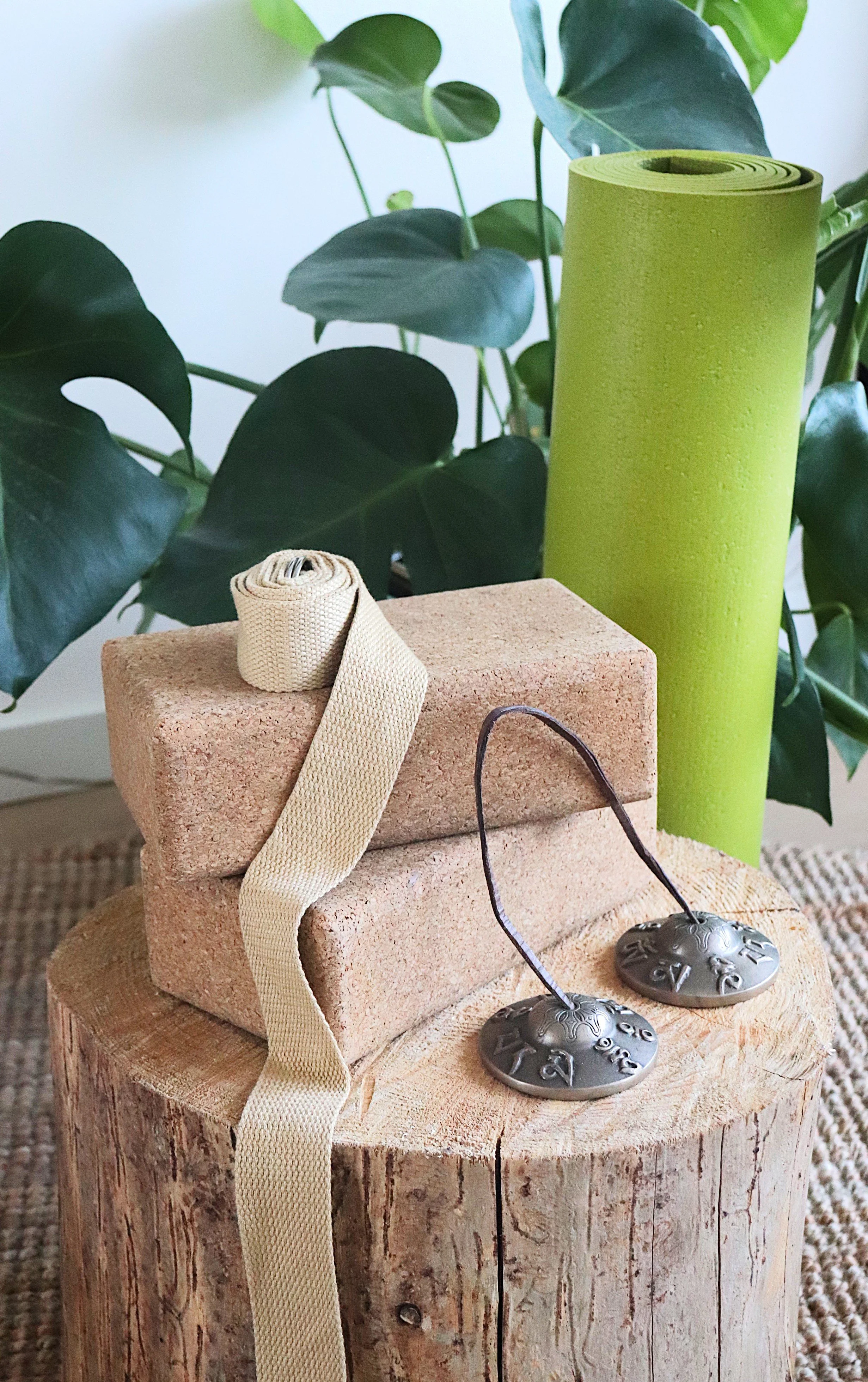 A yogamat, yoga blocks and a strap with a plant in the background, meditatie bel