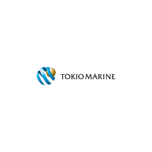 Toki Marine logo with a stylized globe and the text 'TOKI MARINE'.