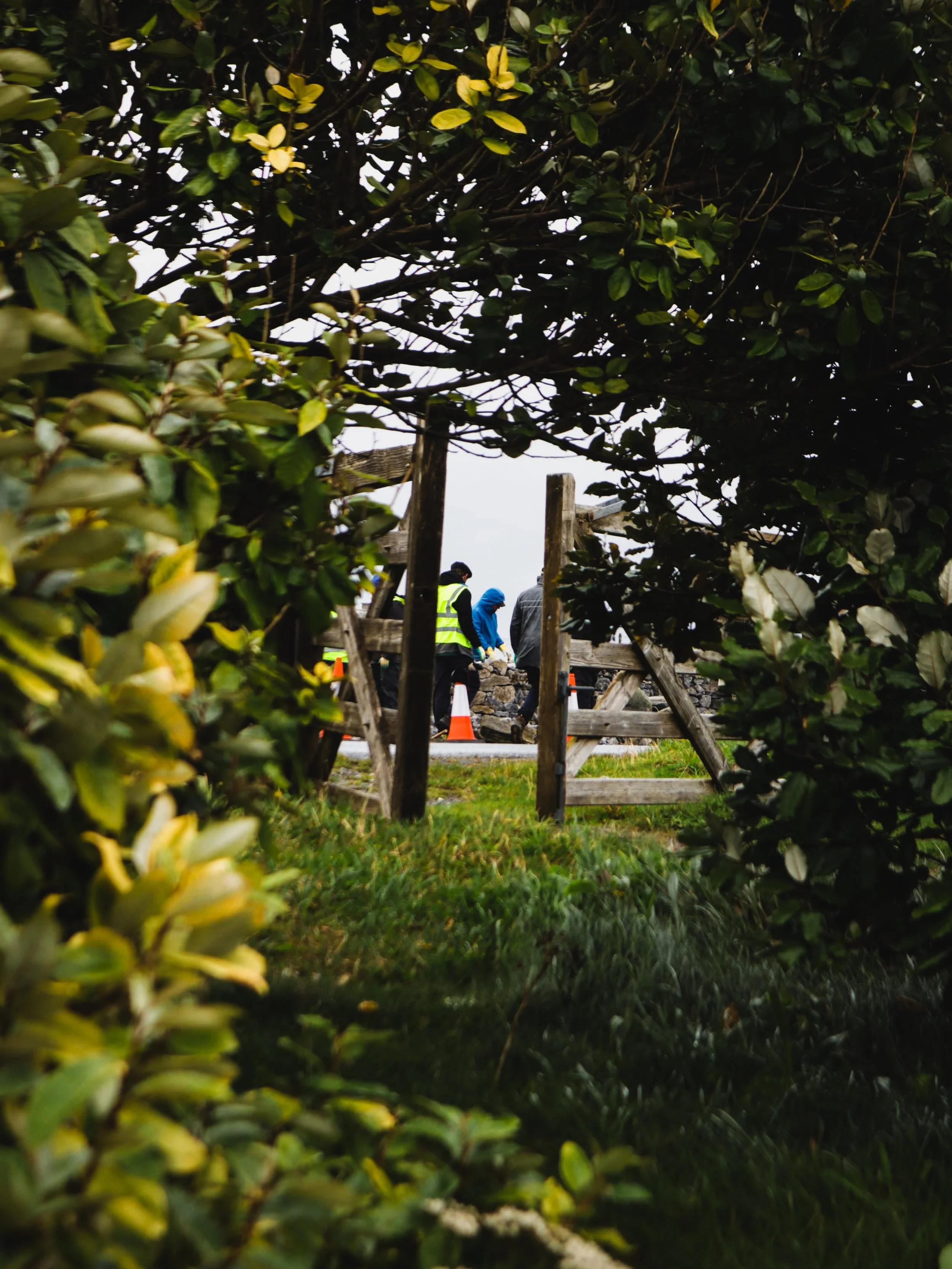 A view through bushes revealing a construction site with workers in safety vests and cones.
