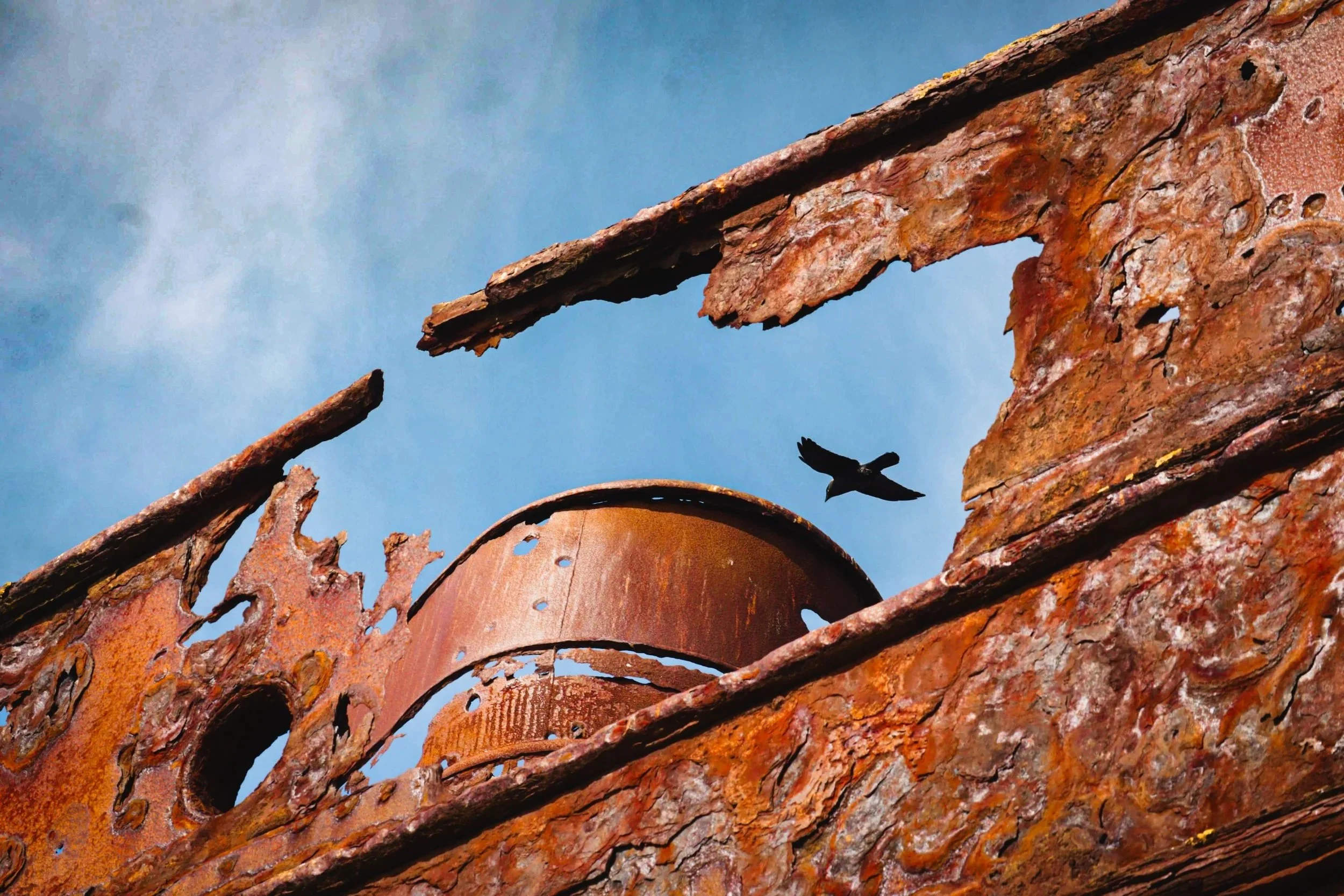 Close-up of rusted, corroded metal debris with a bird flying in the blue sky in the background.