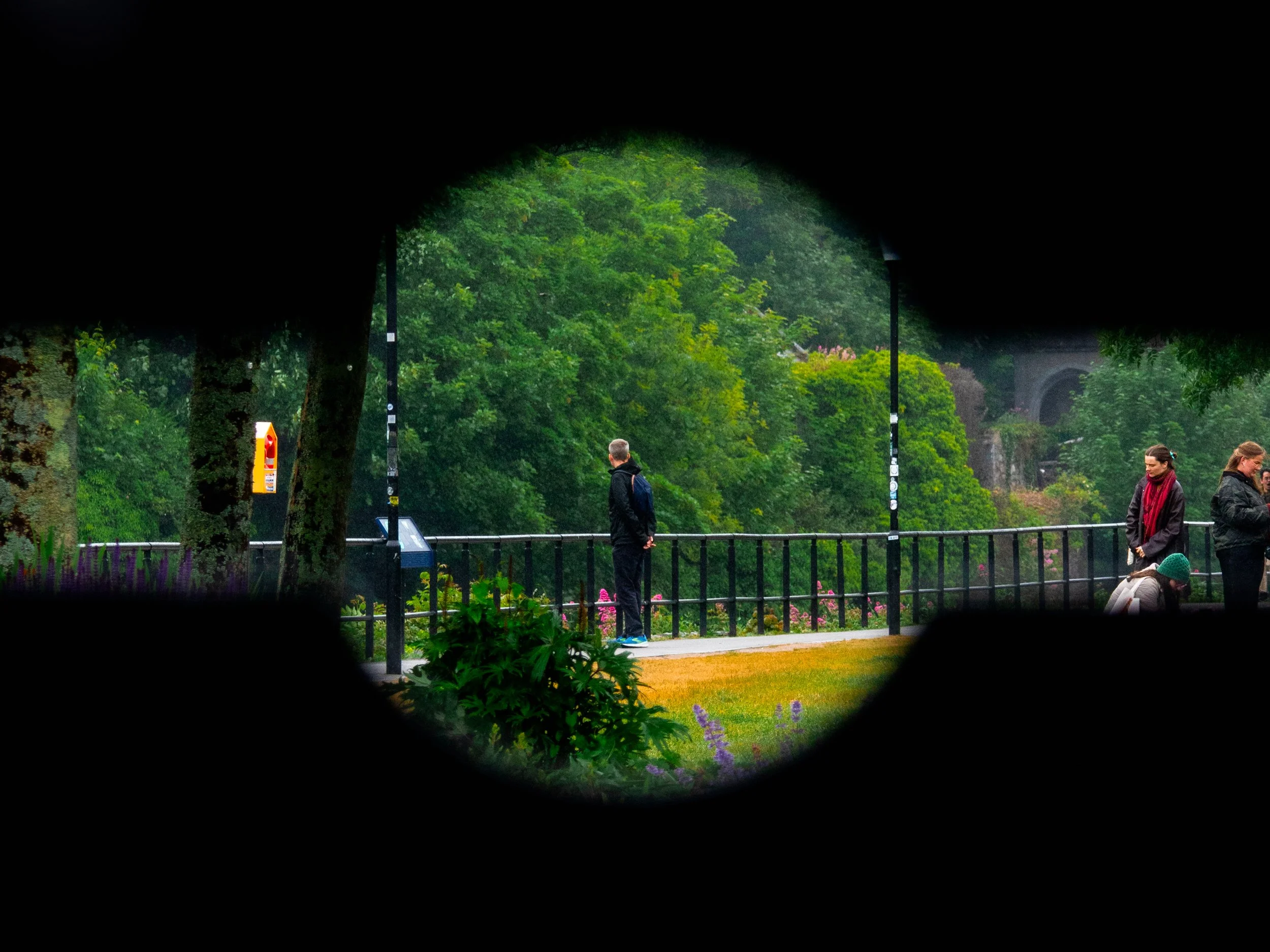View through binoculars of people walking and standing in a park with green trees and flowers.