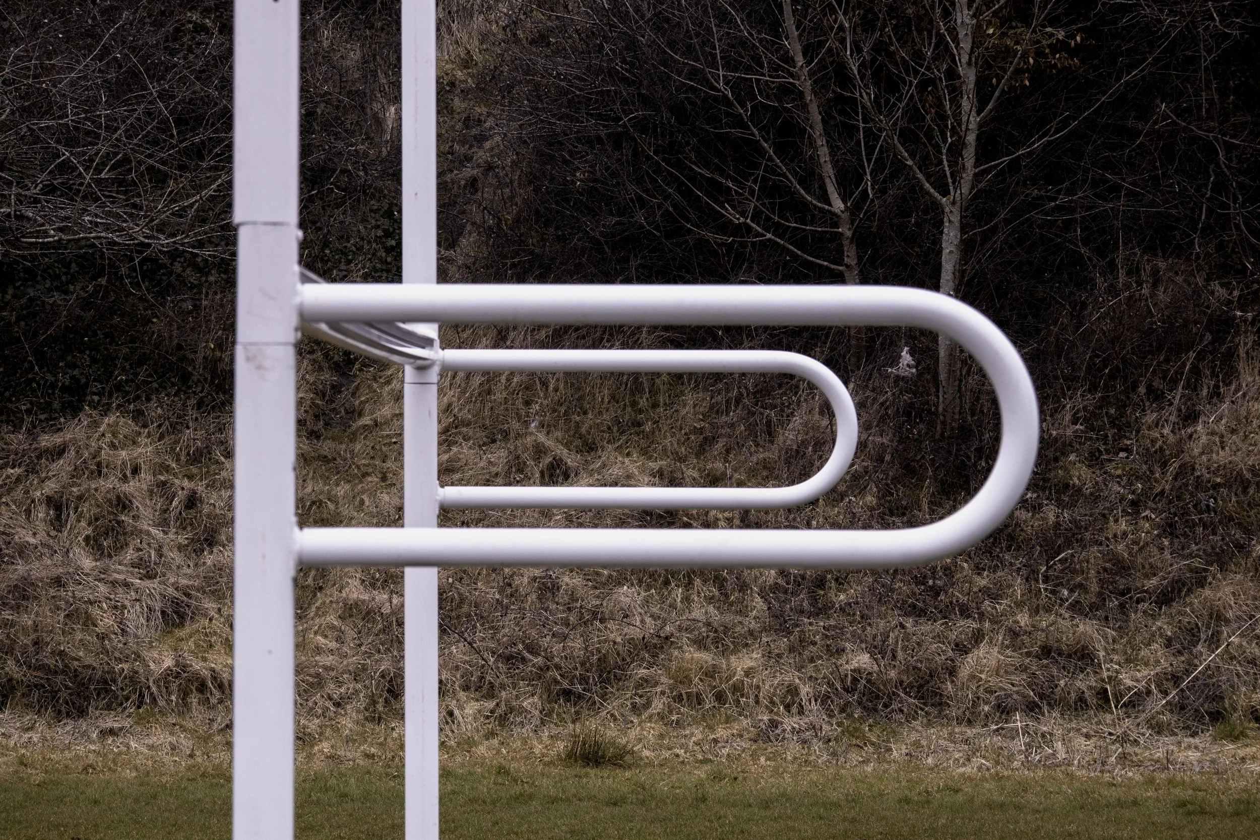 White outdoor bicycle rack with multiple loops, installed on grassy area with browning bushes and leafless trees in the background.