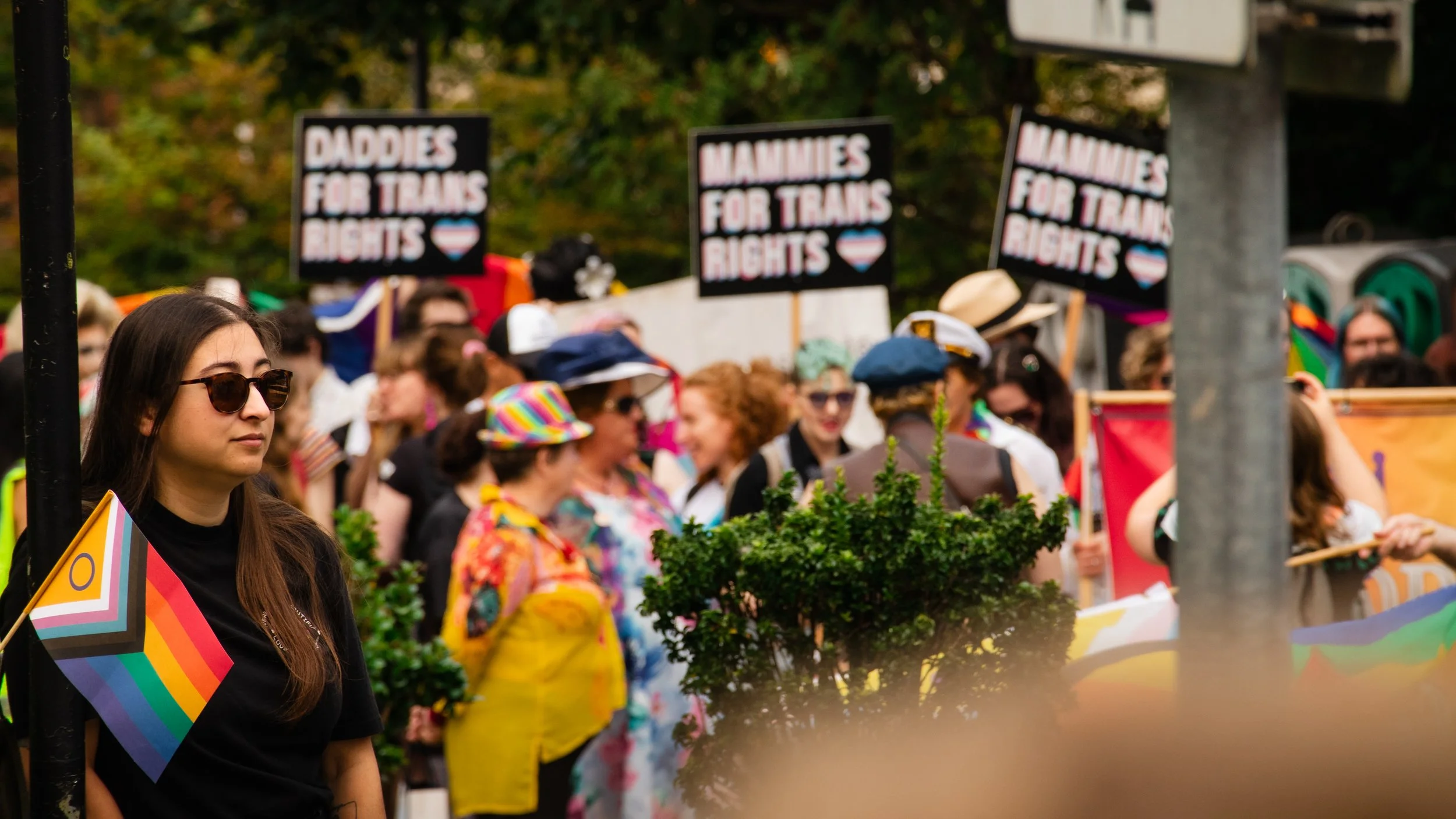 A crowd of people at a pride parade holding signs that read "Daddies for Trams Rights" and "Mammies for Trams Rights." Some individuals are wearing rainbow-colored clothing and accessories.