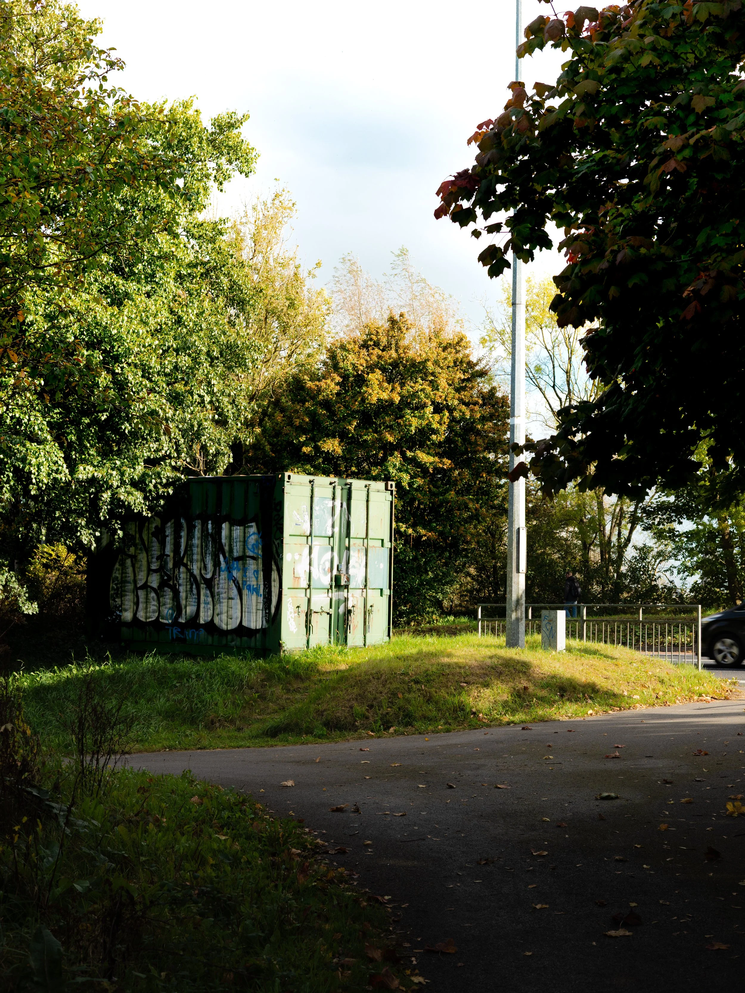 A green metal shipping container with graffiti on it, situated on a grassy area next to a paved path, with trees and bushes around, and a person walking in the distance near a railing.