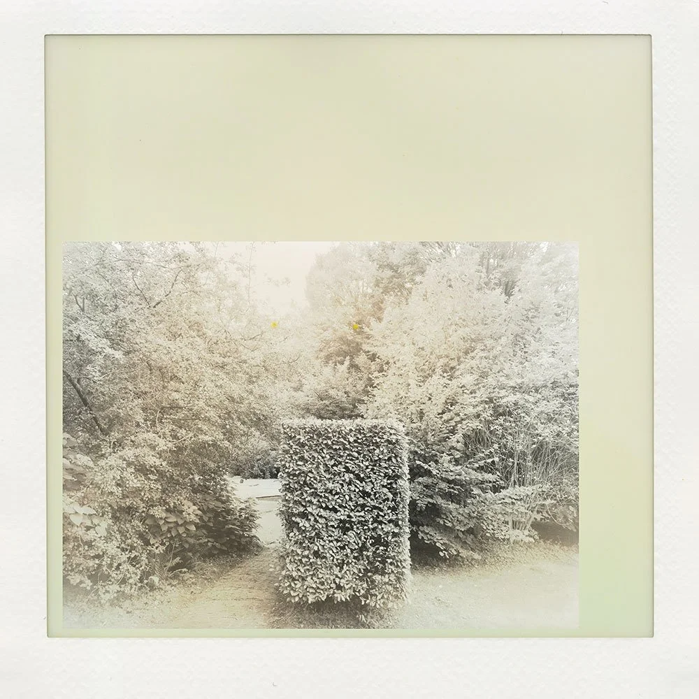 landscape-1.jpg