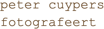 peter cuypers fotografeert