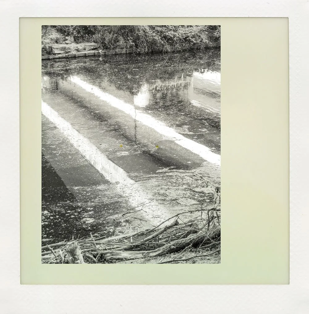 landscape-6.jpg