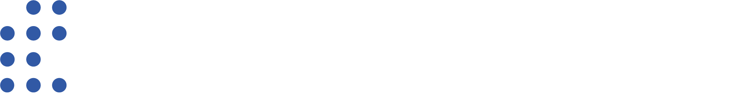 The image contains a logo with the text 'Danish' and 'Erhvervsfremmebestyrelse', along with a design of blue dots arranged in a pattern.