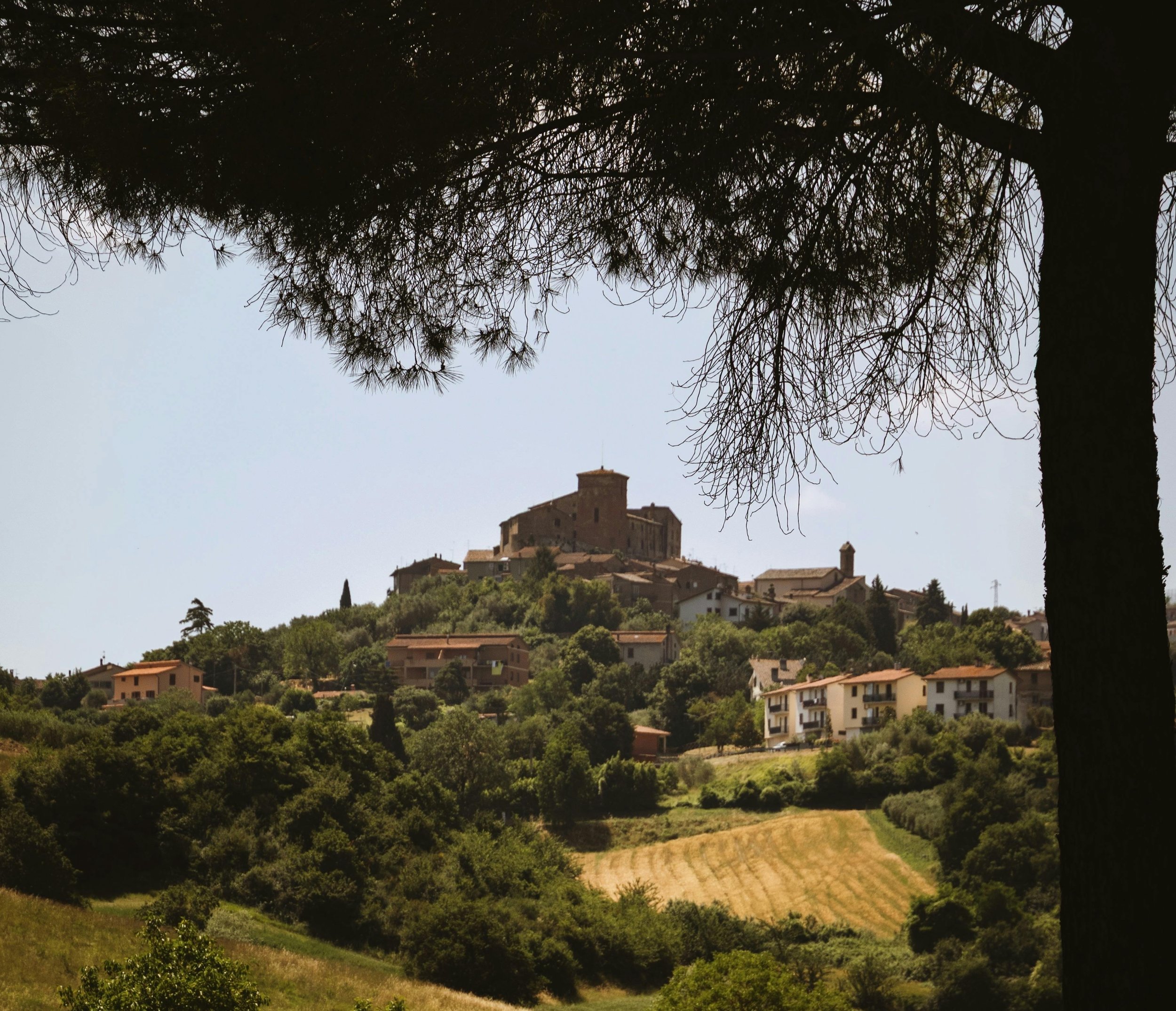 Italy, Tuscany Sienese Countryside (Off-Market)