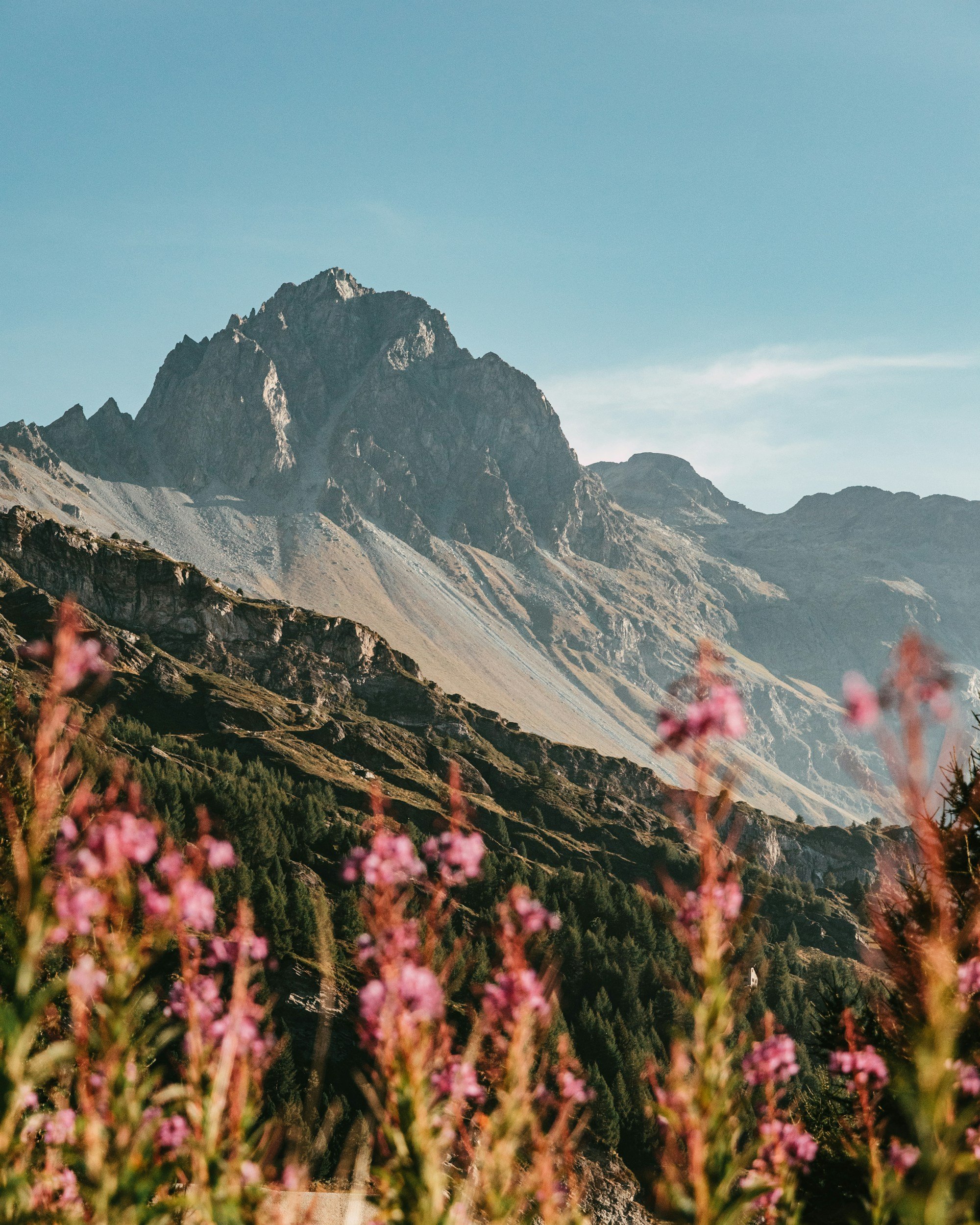 Engadin hotel for sale Switzerland