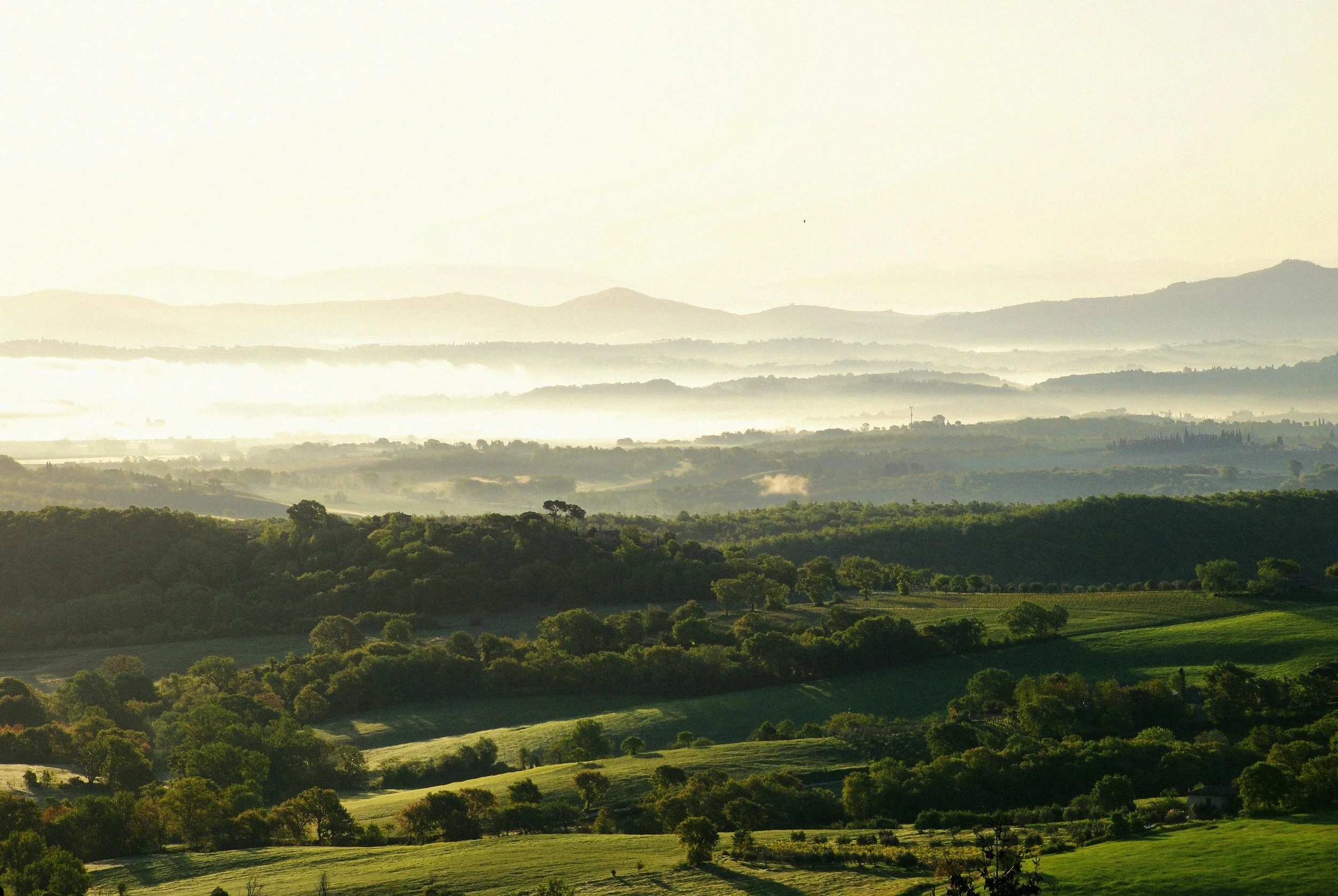 Italy Tuscany Sienese Estate Off Market
