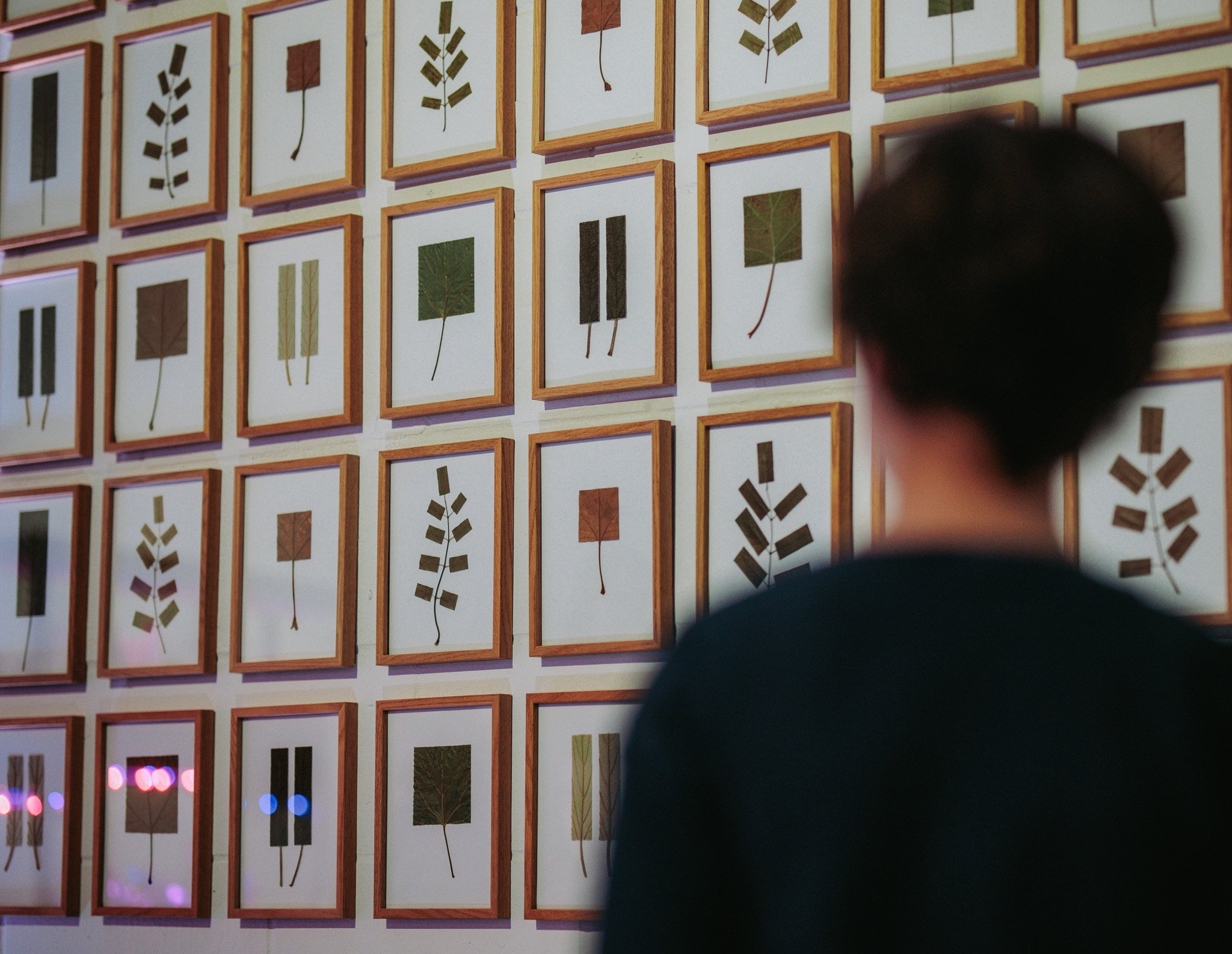 Galerie Münsterland_Fantasie in vier Ecken (c) Onno Bargfrede3337.jpg