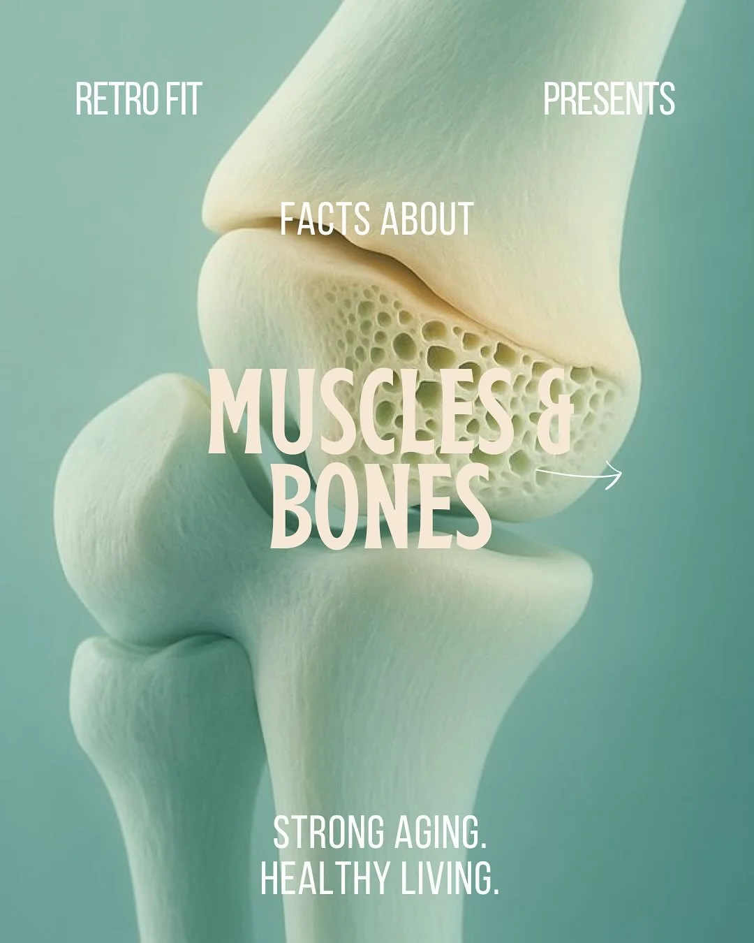 Research shows that regular resistance training improves bone mineral density and reduces the risk of bone loss over time.
Lifting weights challenges both muscles and bones to adapt, making it one of the best tools for long-term skeletal health.
#Bon