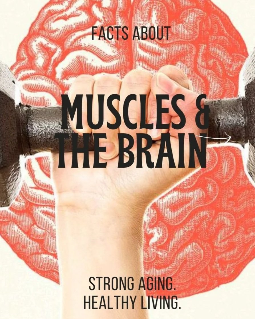 RETROFIT_IG_Post 3.jpg