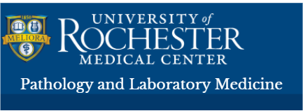 Screenshot 2026-03-03 000556.png