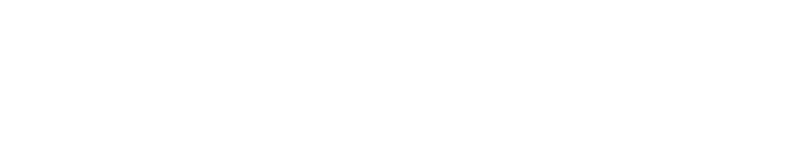 Handschrift: Visonboard