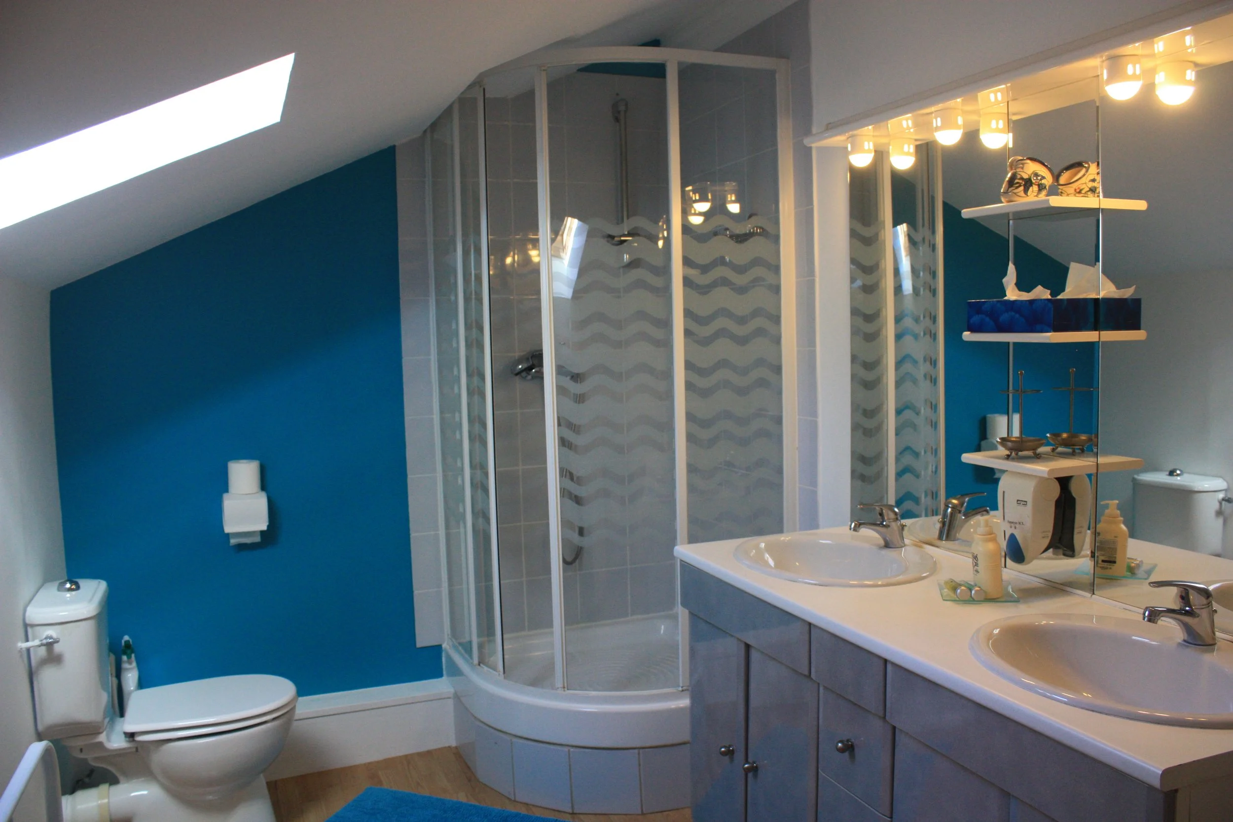 IMG_9047 SdB Bleu.JPG