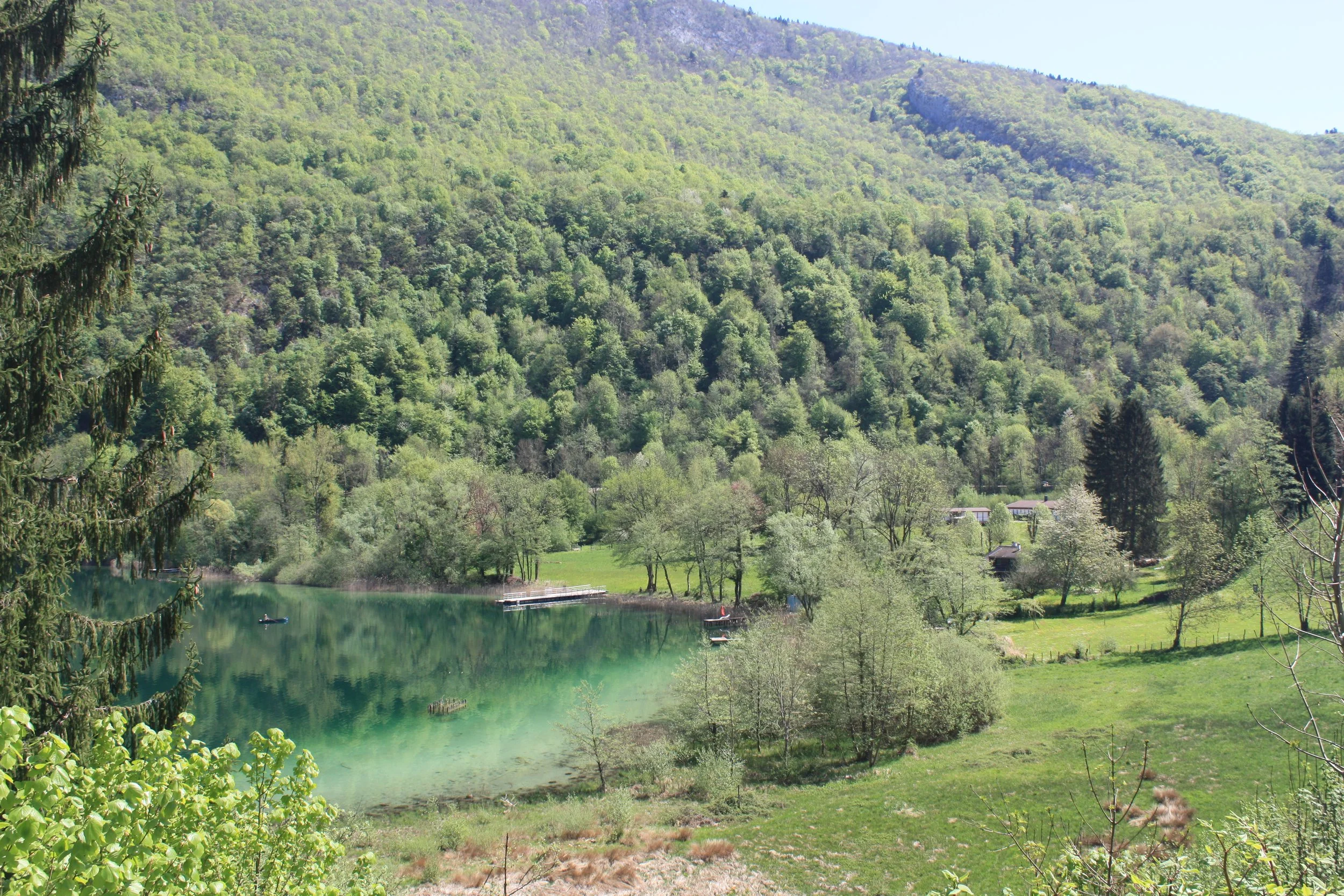IMG_7000.JPG