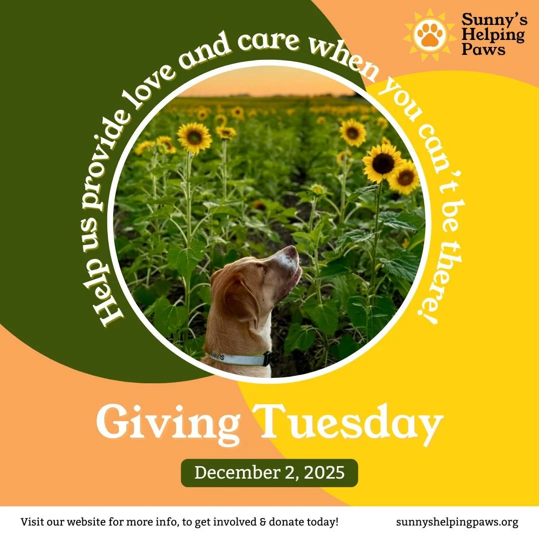 Thank you for making our first Giving Tuesday such a meaningful moment. 

As a new nonprofit, every bit of support helps us build the foundation for a service our SE MN community truly needs. 

Your generosity helps ensure that people facing medical 