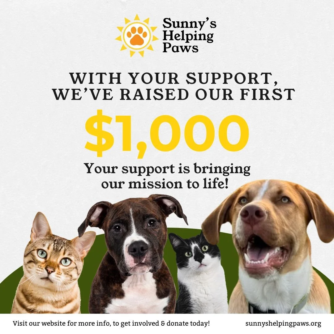 We just reached our first $1,000 raised, thanks to the support of our growing community. 

Thank you for helping us grow something meaningful. Your support is helping us build a network of care for pets and the people who love them.

Join us today! 
