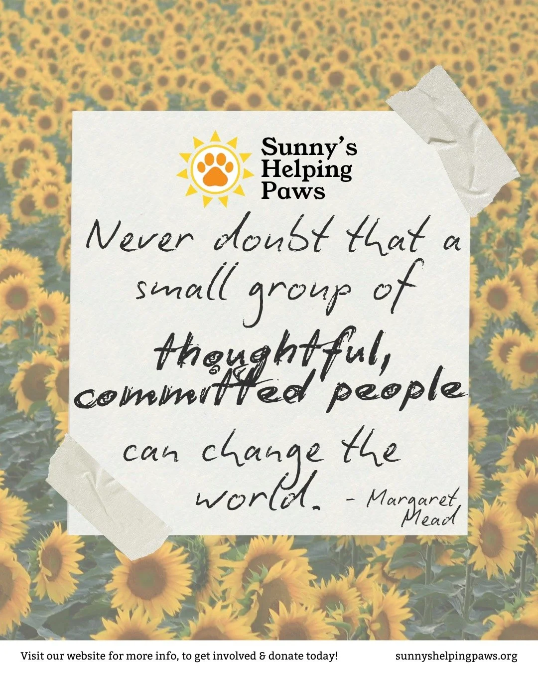 This quote captures the spirit of community and care that guides our work towards lightening the burden of life's heavy moments. 

We&rsquo;ll be back sharing a few gentle updates this week, including some comforting pet moments.

💛🐾