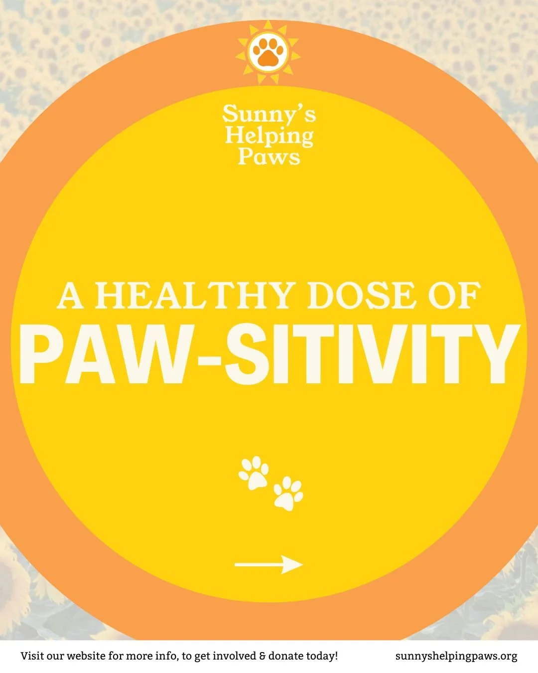 Today is often called Blue Monday, a day said to be the toughest of the year for many. We wanted to meet it with something lighter.

This month&rsquo;s Healthy Dose of Positivity shares a few good stories about pets and wildlife near and far, simple 