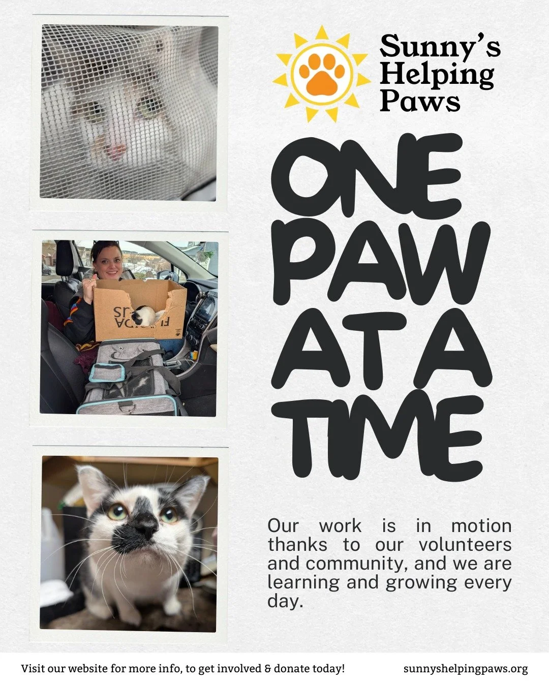 These photos are a first glimpse of the pets we&rsquo;ve been able to support so far. Each one represents a moment of trust, teamwork, and care made possible by our volunteers and the wider community.

We&rsquo;re grateful for everyone who has helped