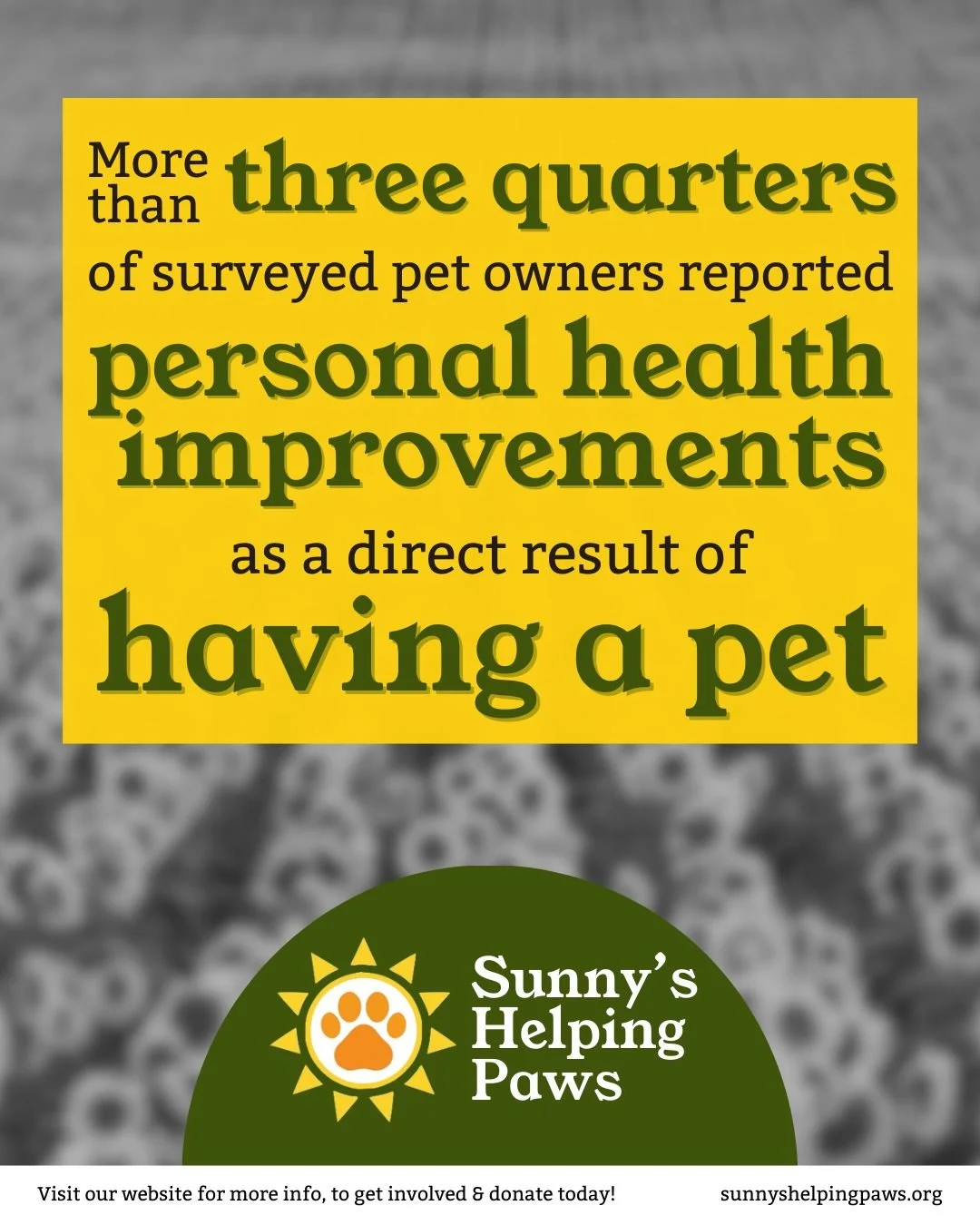 At Sunny&rsquo;s Helping Paws, we know the power of pets to improve health, happiness, and connection. This is why we work so hard to keep pets and people supported through challenging moments and reunited as soon as possible! 

Sunny&rsquo;s Helping