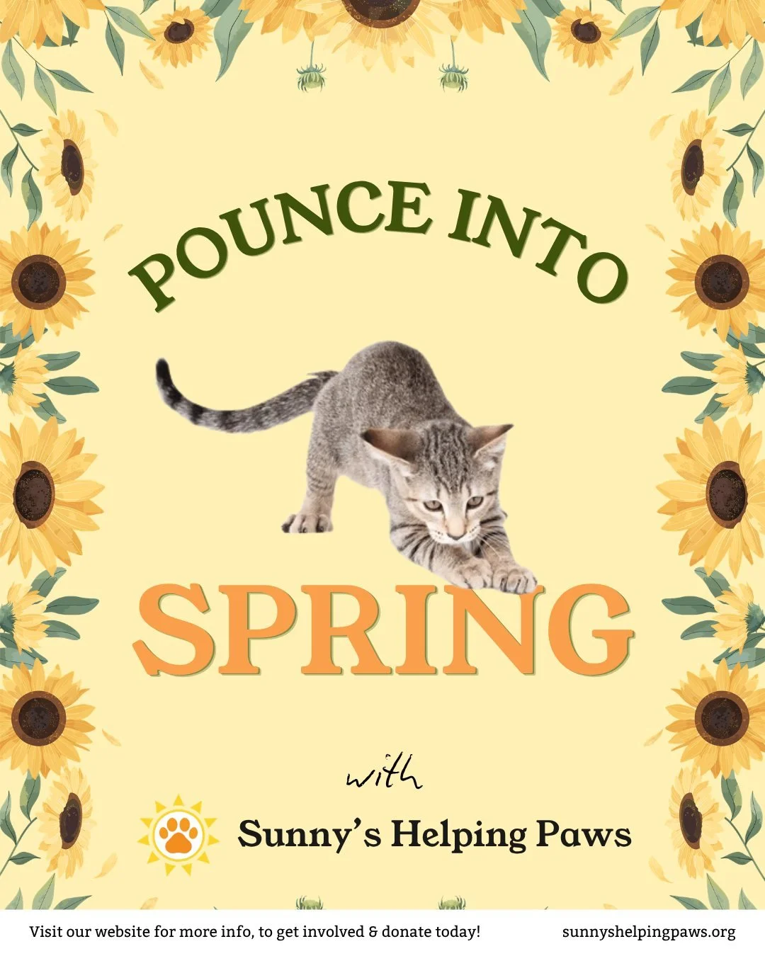Spring has arrived, bringing longer days, fresh air, and a sense of momentum here at Sunny's Helping Paws!

With more light in the days ahead, we&rsquo;re looking forward to continuing our work in the community and supporting more pets when it matter