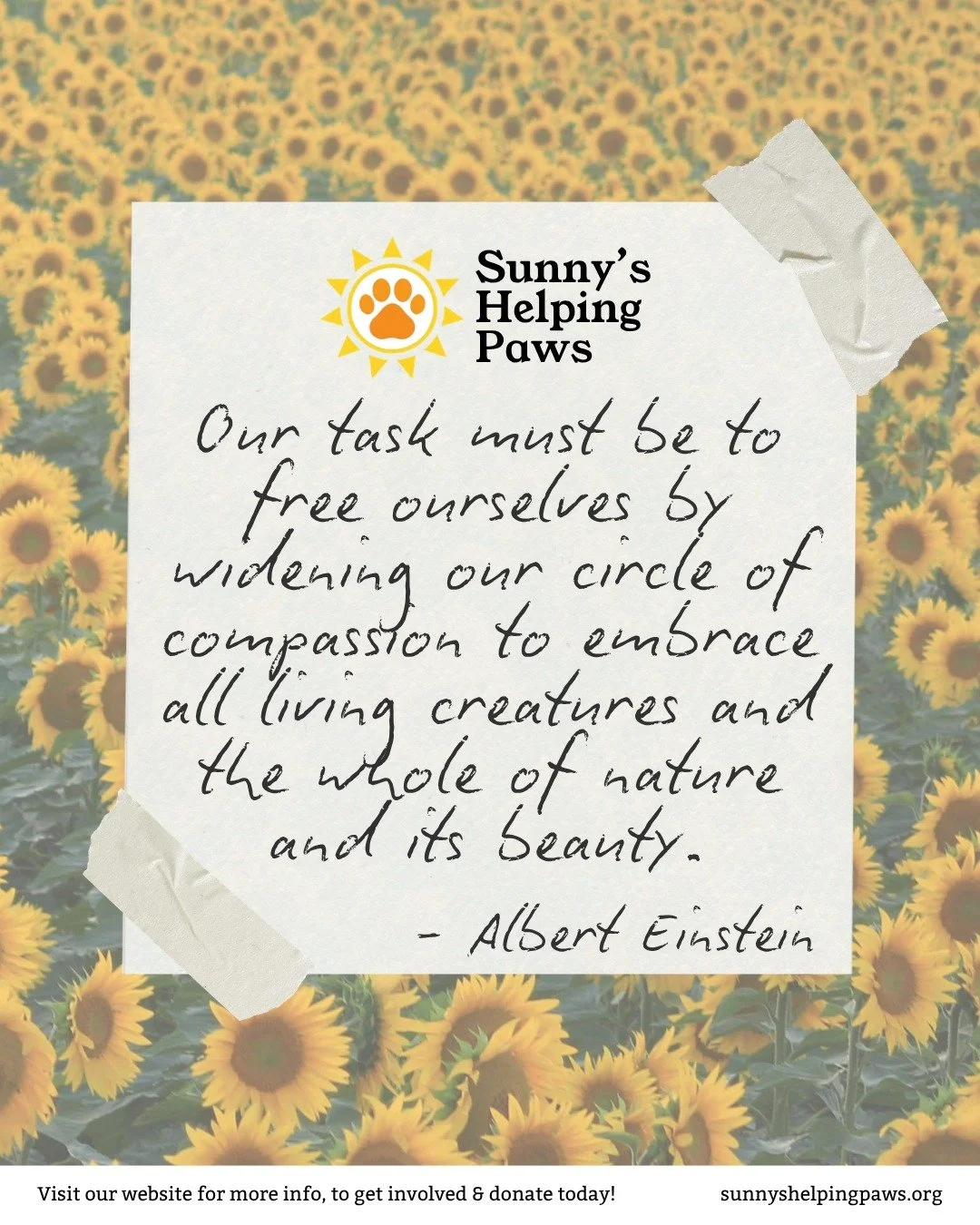 A reminder that compassion can always grow.

At the heart of our work is the belief that caring for animals is part of caring for people, and that both matter deeply.

Join us in building a more compassionate community for pets and their people.

💛?
