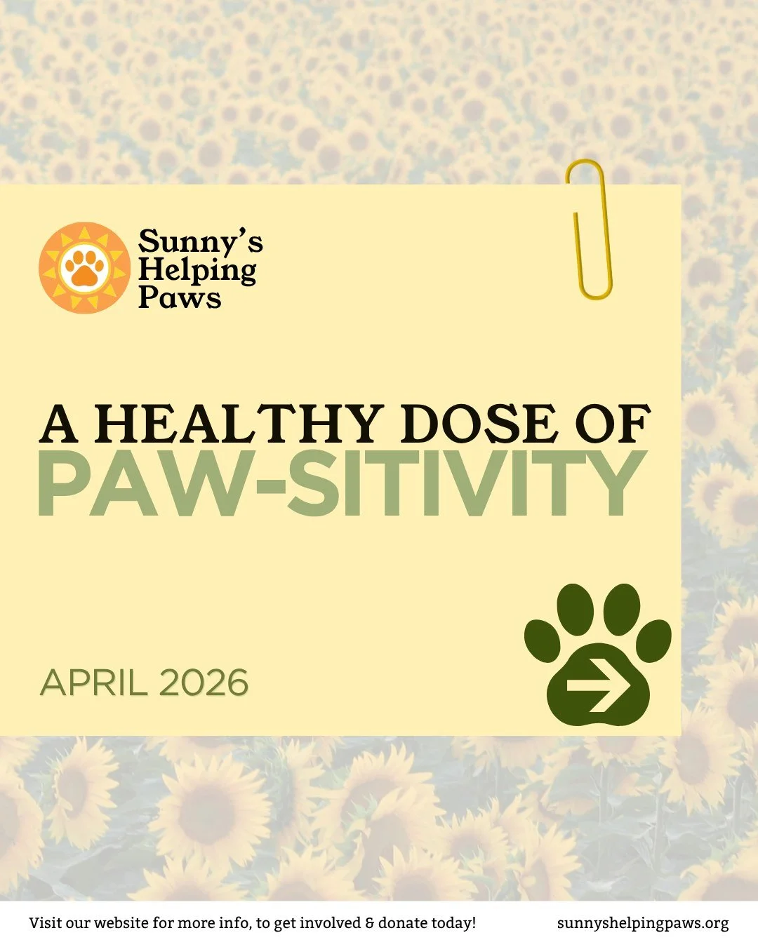A healthy dose of paw-sitivity, something we share each month to highlight the good.

This month we're delighted to share some stories that serve as great reminders of how far we&rsquo;ll go for our animals, and how that care carries through every mo