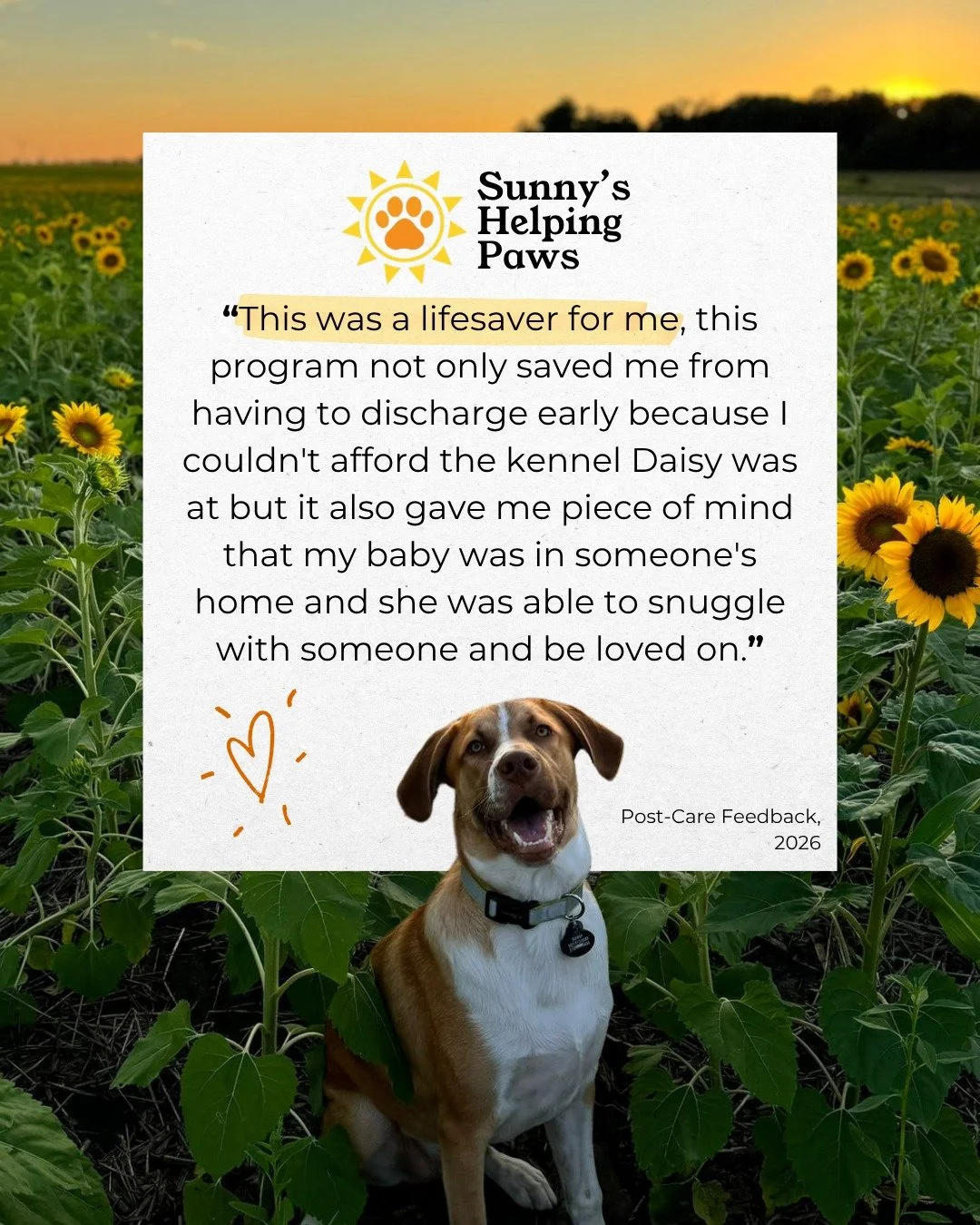 Every pet we care for represents someone facing one of life&rsquo;s most challenging moments. When they know their beloved companion is safe, loved, and in good hands, they can focus on what matters most: healing.

We&rsquo;re so grateful to the pet 