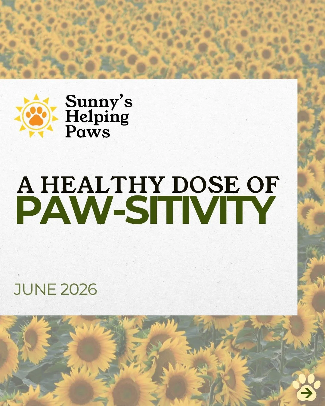 Welcome back to your Healthy Dose of Paw-sitivity!

Every day, we&rsquo;re reminded that animals have an incredible way of inspiring hope, resilience, and connection. This month&rsquo;s collection is filled with stories that celebrate those moments, 