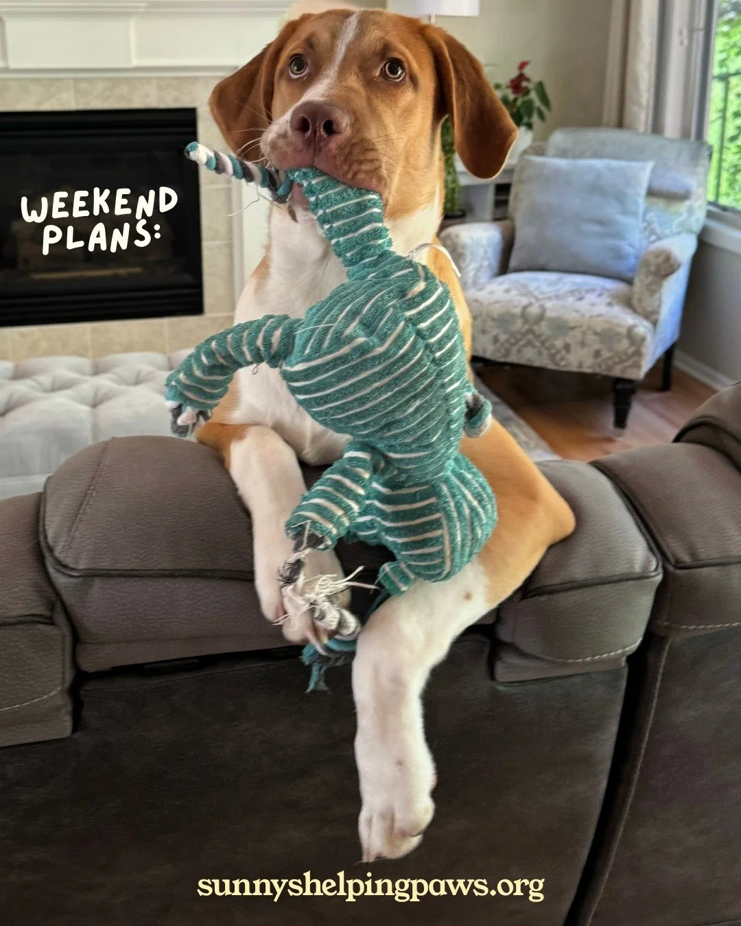 Our pets are great at reminding us what matters most: slowing down, staying present, and making time for the those we love.

As summer starts to wind down, we hope you find a little time this weekend to do just that. There's nothing like enjoying spe