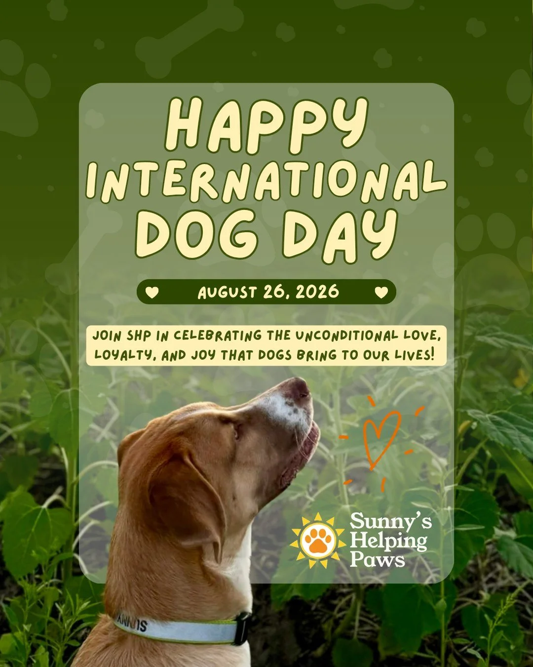 Happy International Dog Day!

In the U.S., 65.1 million households have at least one dog, and 67% of dog owners consider their dog a family member. With nearly half of American households sharing their homes with a dog, that bond is a big part of eve