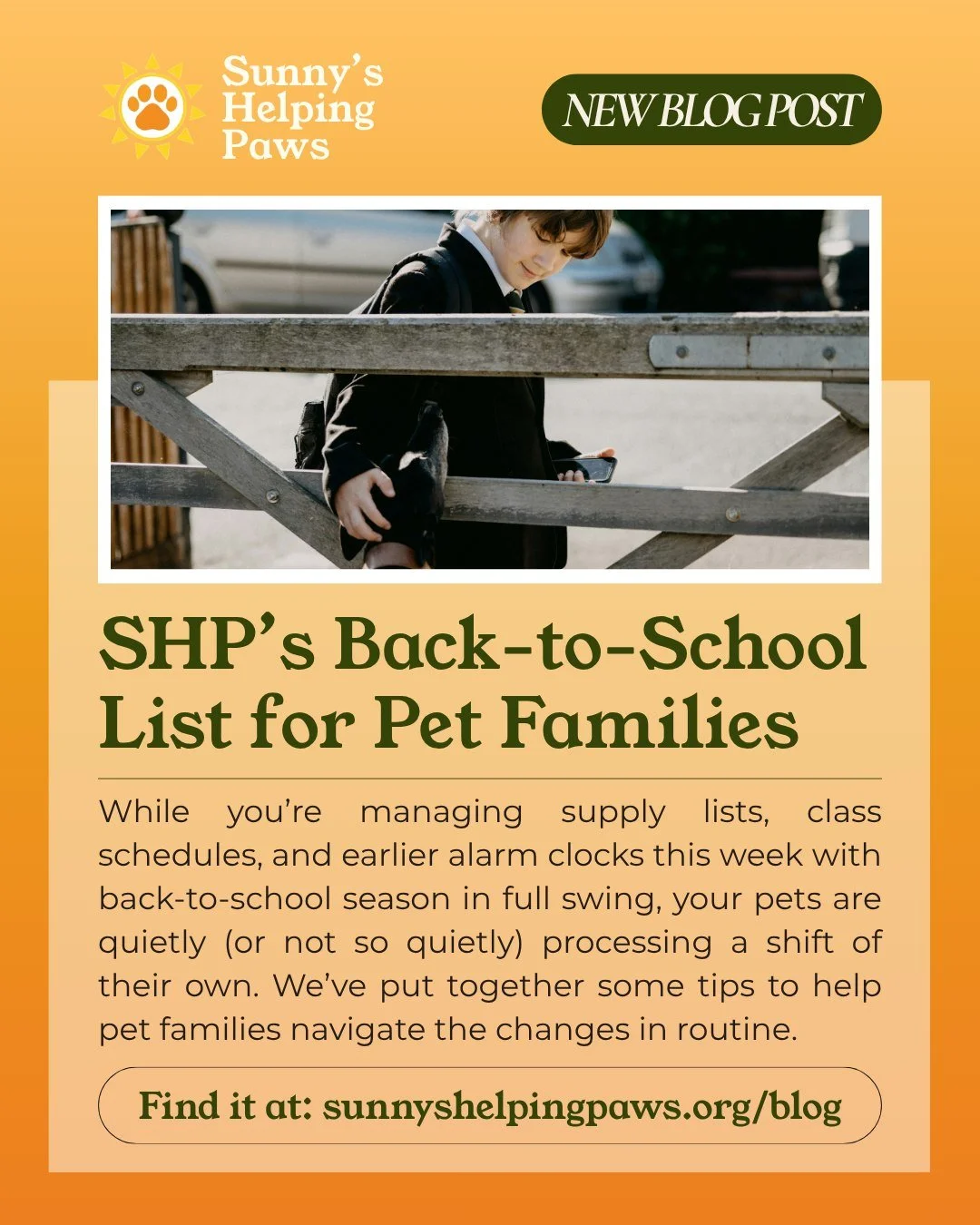 Back-to-school season means new routines for the whole family, including our pets. 

Some changes are easy to see coming: earlier mornings, different schedules, and a little less time at home can all take some getting used to.

Other changes? You can